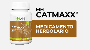 MH-CATMAXX.jpg